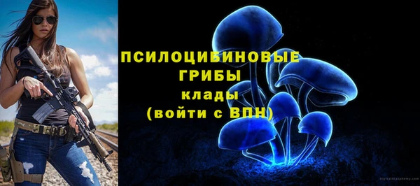 стаф Волосово